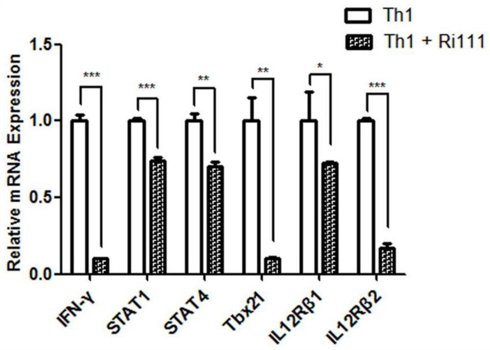 Application of artificially constructed antisense nucleotide fragment Ri111 in Th1 cell polarization