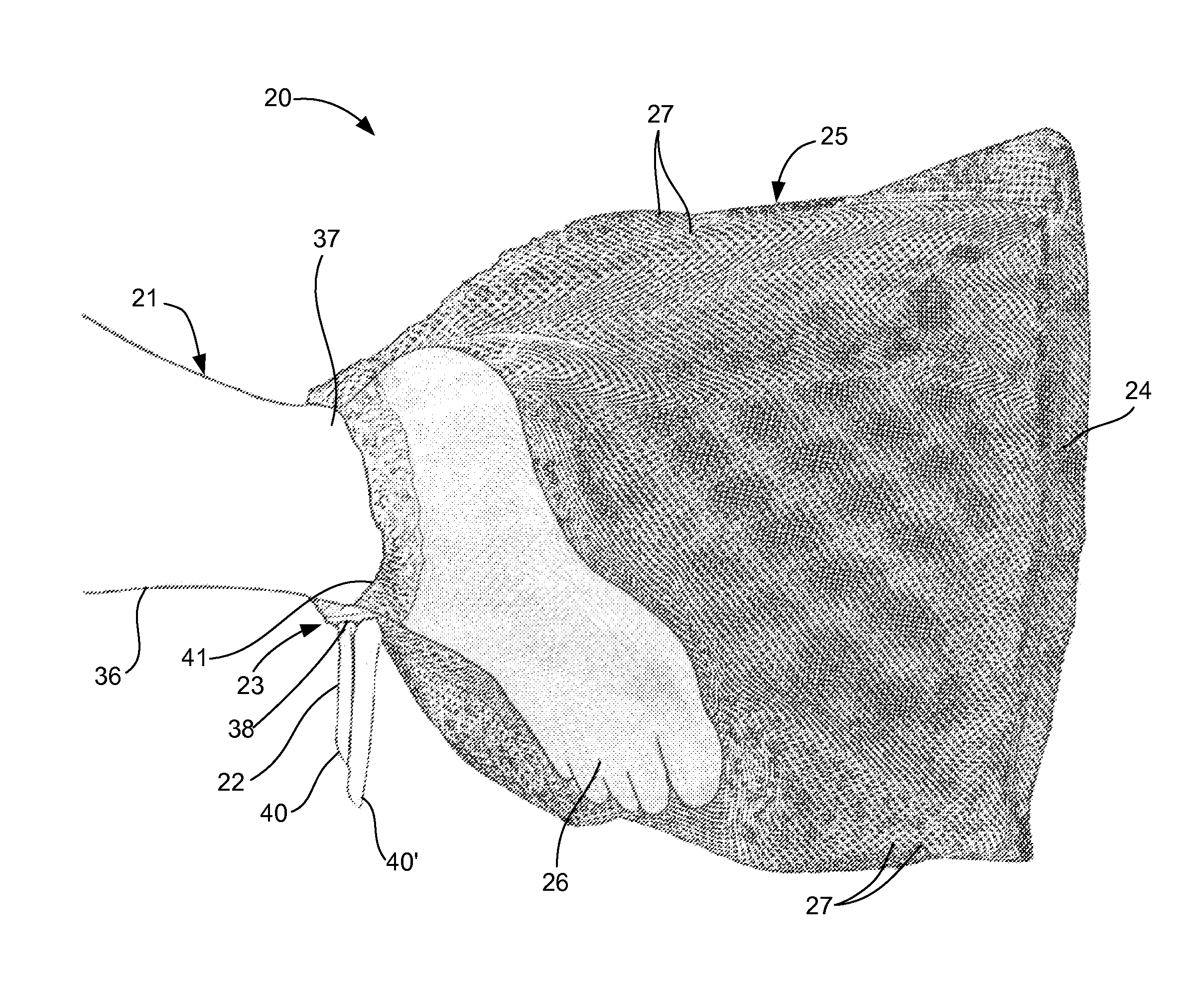 Swim training aid apparatus