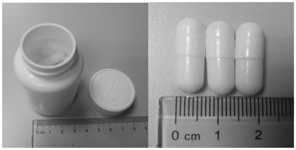 Pharmaceutical composition for treating steatohepatitis and preparation method of pharmaceutical composition