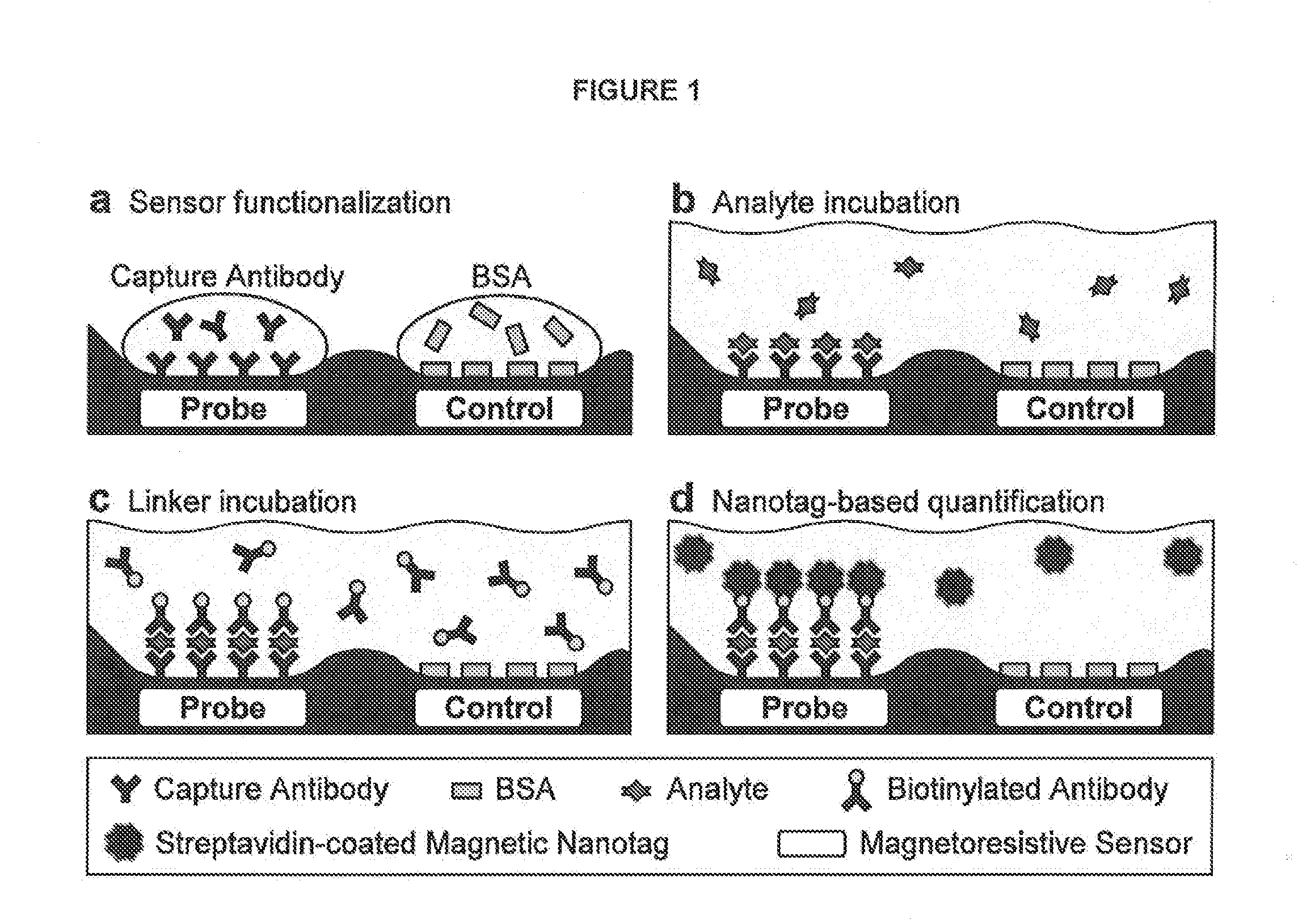 Analyte detection with magnetic sensors