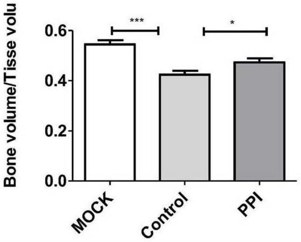 A small molecular compound for treating rheumatoid arthritis and its use