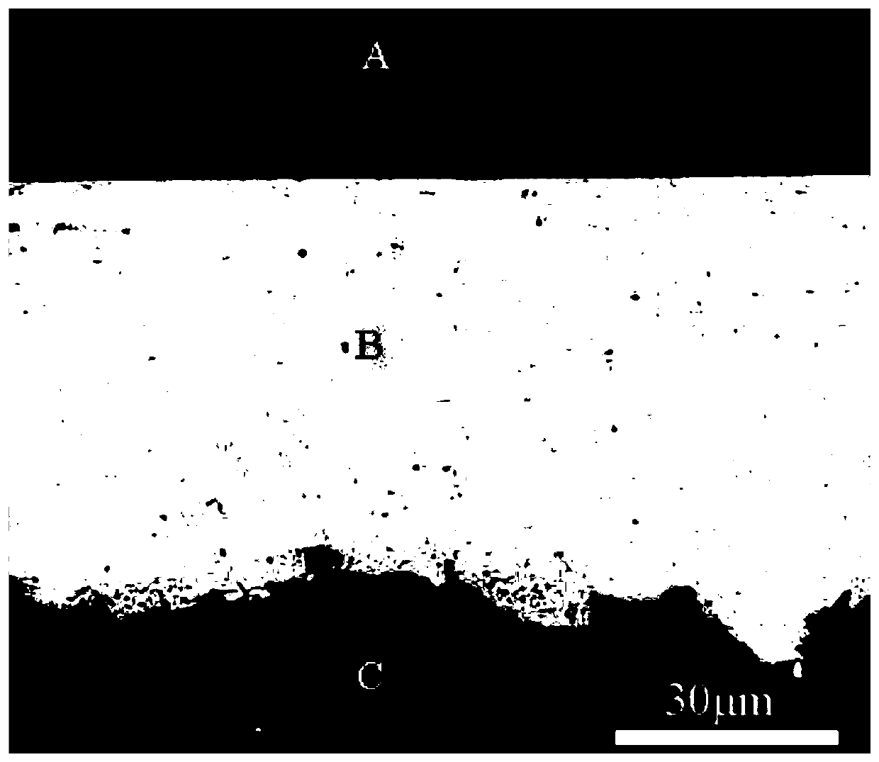 Method for preparing silver nanowire array by using capillary wetting effect