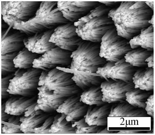 Method for preparing silver nanowire array by using capillary wetting effect