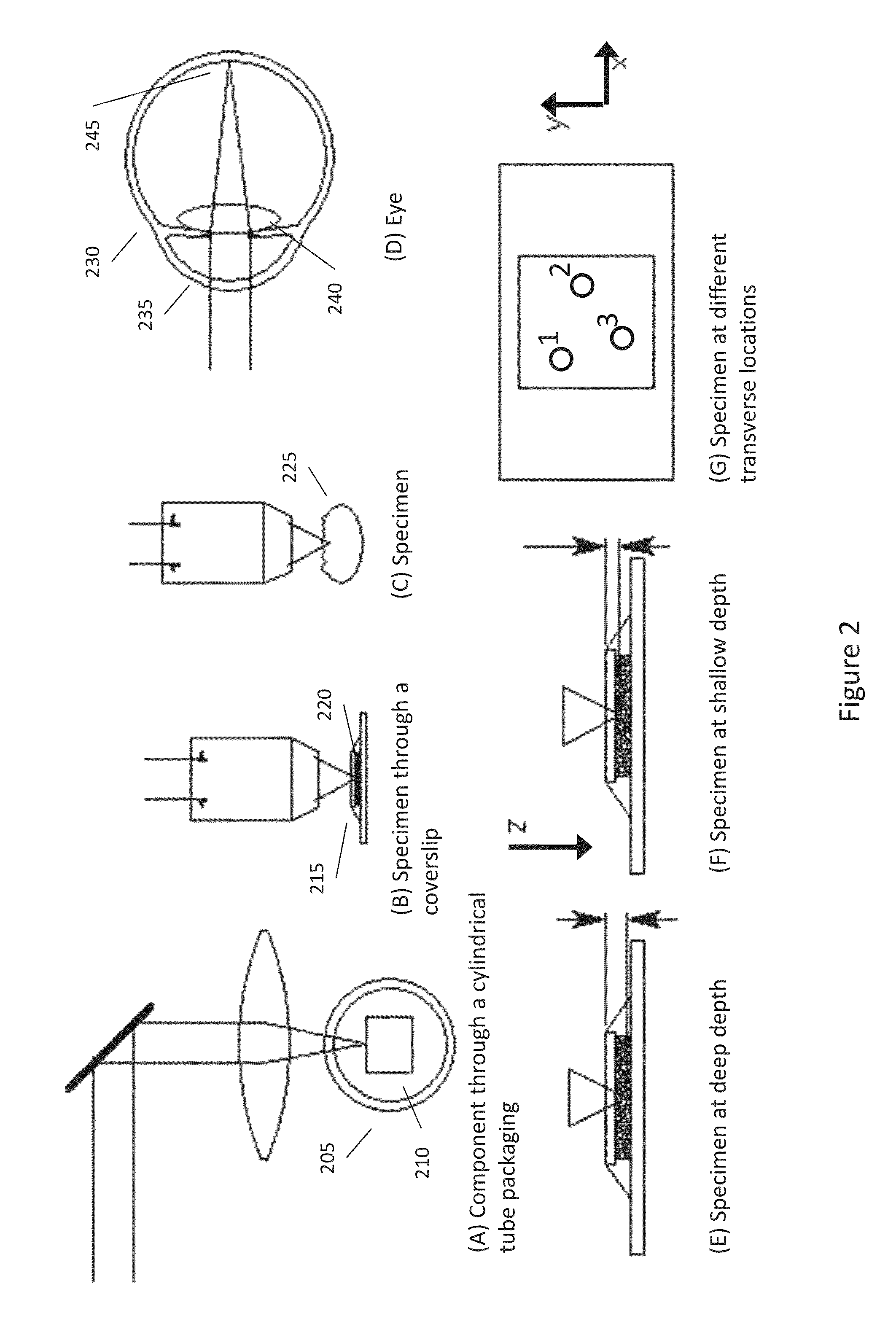 Compact, low dispersion, and low aberration adaptive optics scanning system