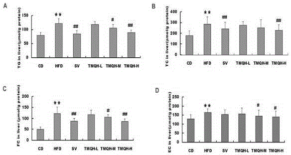 Application of Viburnum sargentii alcohol extract in preparation of NAFLD (non-alcoholic fatty liver disease) treatment drug