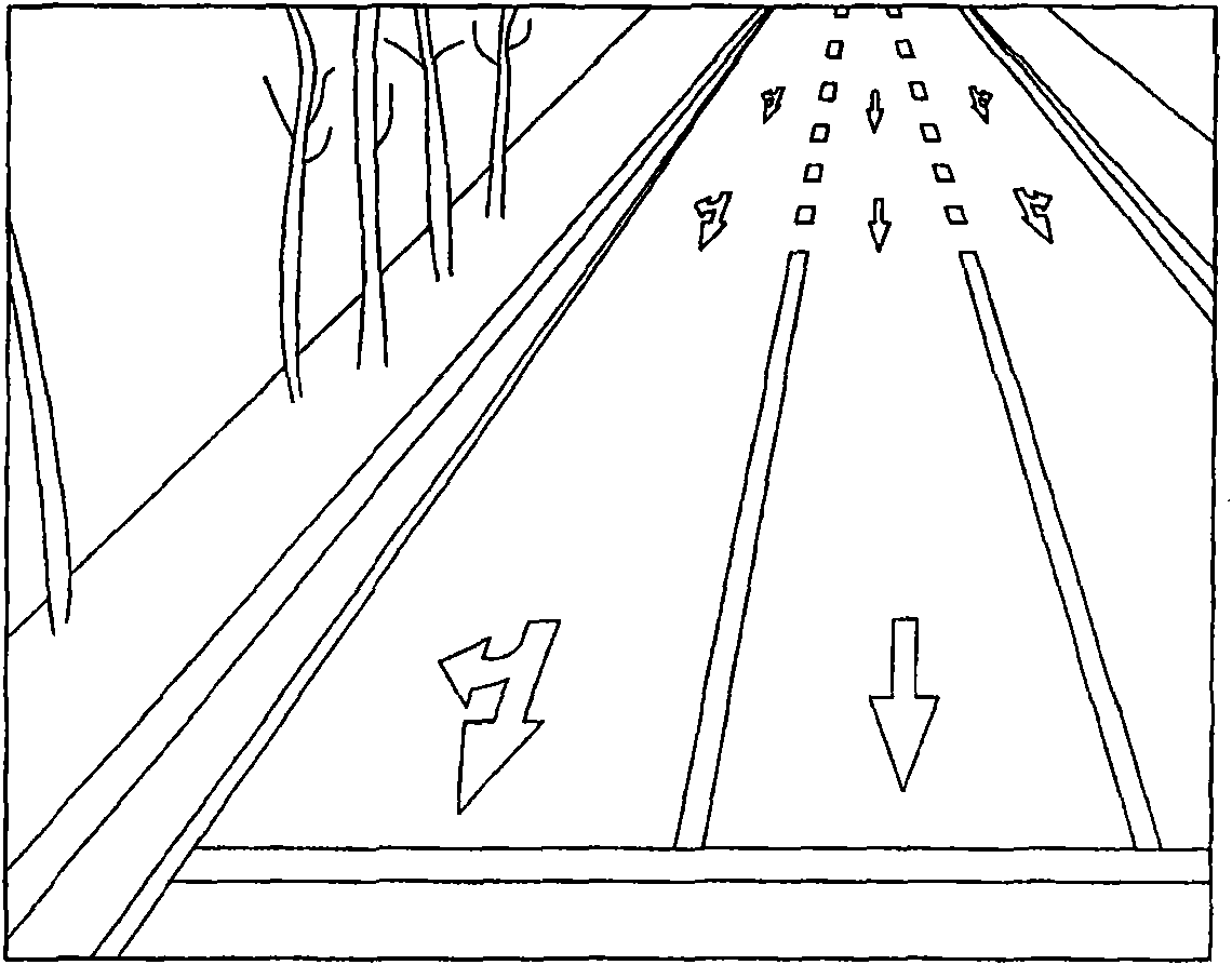 Automobile auxiliary video warning device