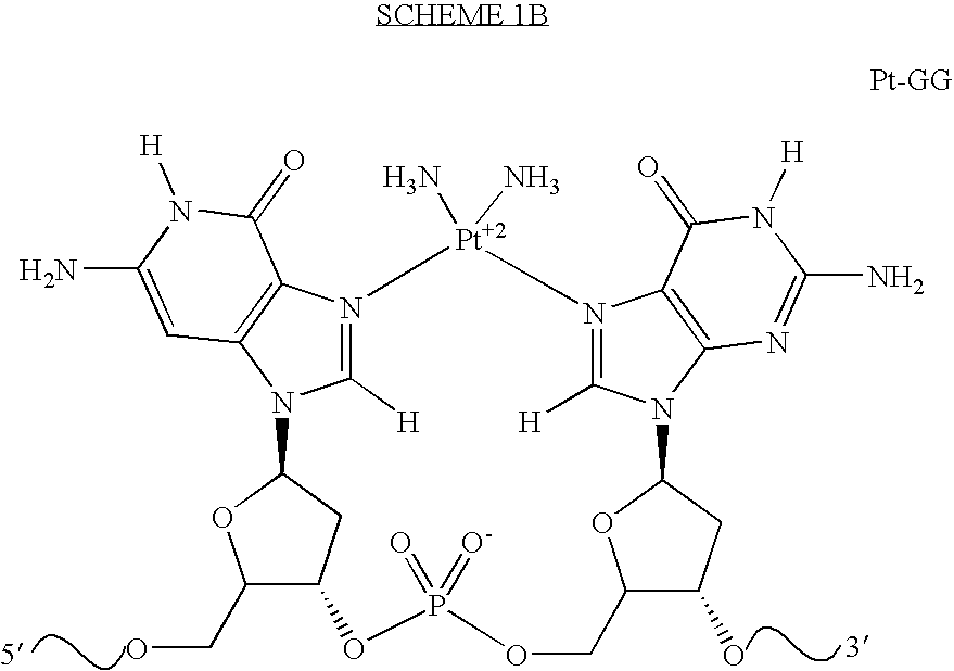 Broad specificity DNA damage endonuclease