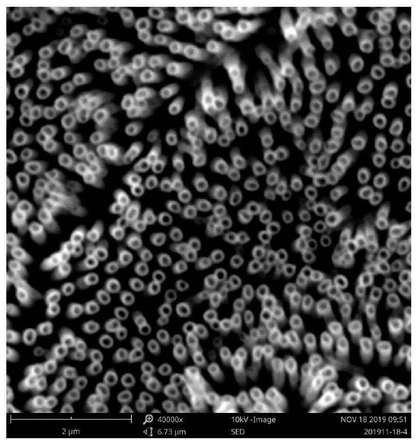 Gradient porous titanium mesh and preparation method of super-hydrophobic gradient porous titanium mesh