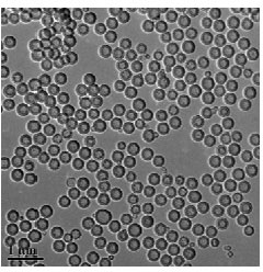 Silicon dioxide base ultrasonic contrast medium/high intensity focused ultrasound (HIFU) synergist and preparation method thereof