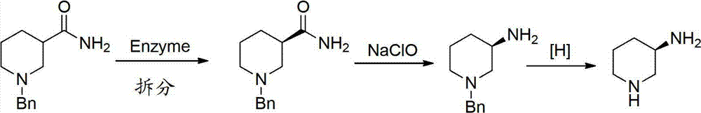 Asymmetric syntheses method and correlated intermediate of (R)-3-aminopiperidine (I)