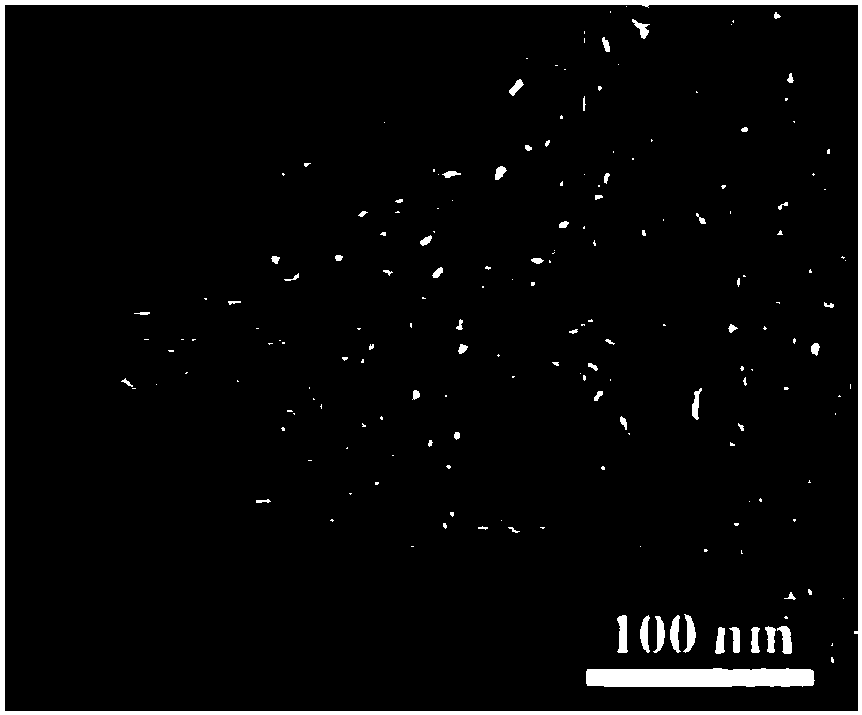 A kind of supported tricobalt tetroxide catalyst and its preparation method and application