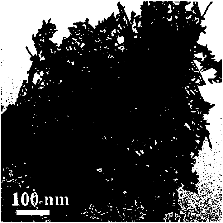 A kind of supported tricobalt tetroxide catalyst and its preparation method and application