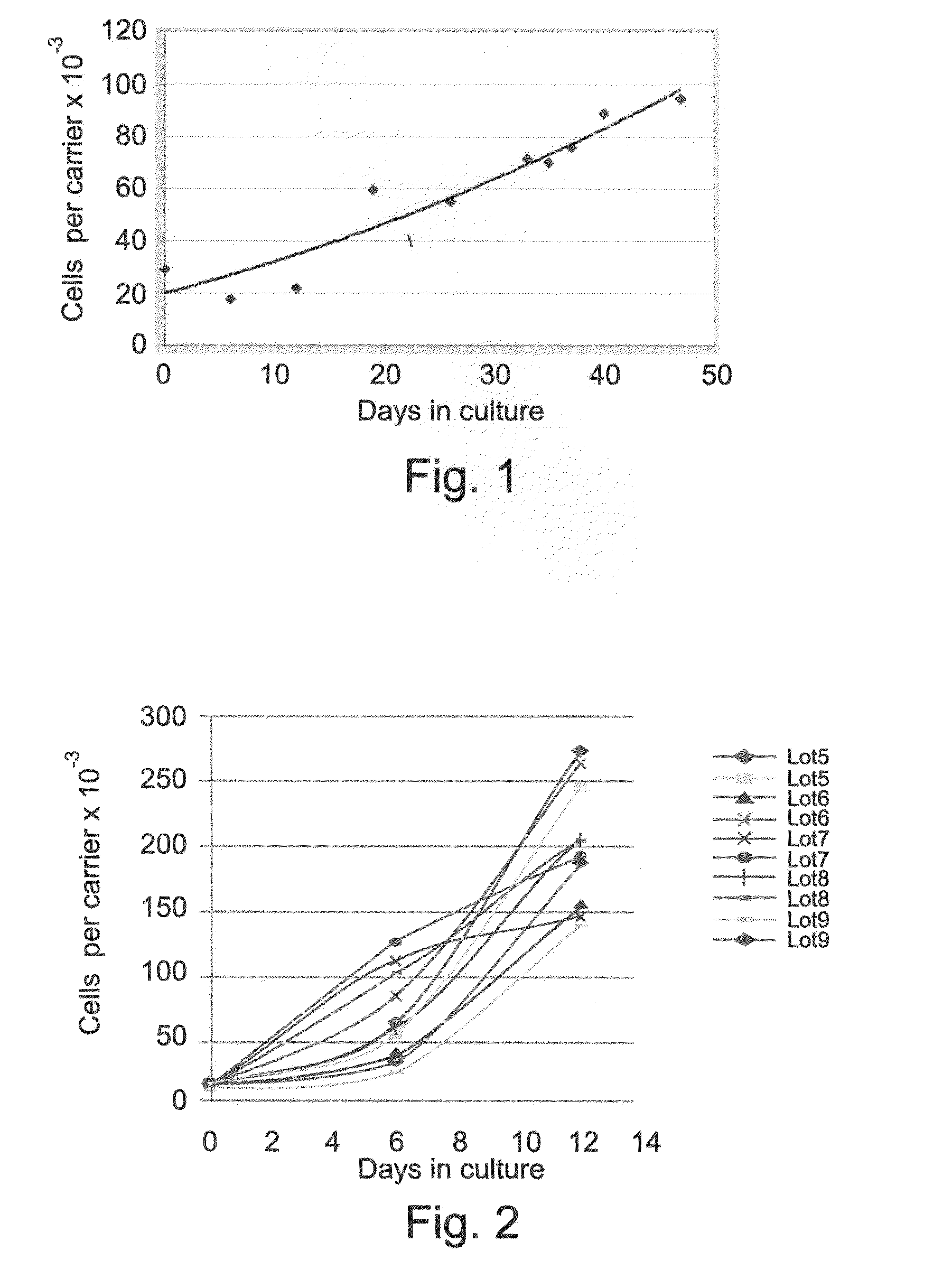 Method and Apparatus for Maintenance and Expansion of Hematopoietic Stem Cells From Mononuclear Cells