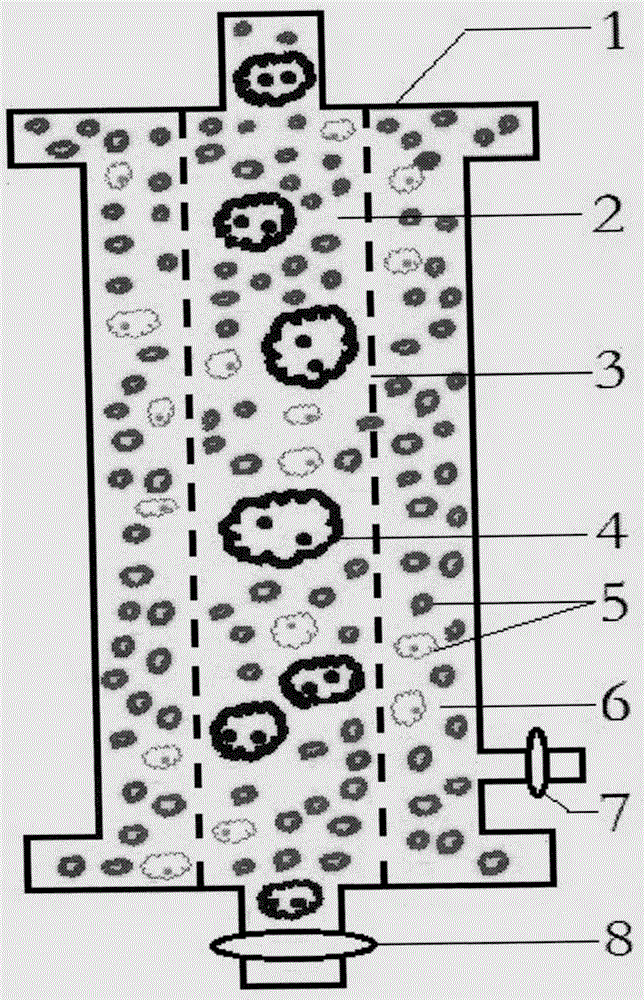 Adsorption herapeutic apparatus for maternal-fetal blood group incompatibility