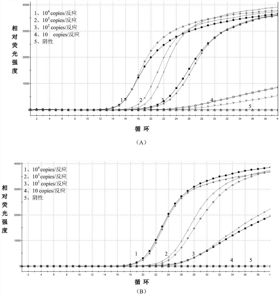 Real-time fluorescent nucleic acid isothermal amplification detection kit for bordetella pertussis as well as special primer and probe thereof