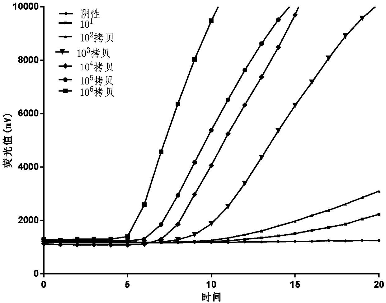 Primer probe group and reagent box for detecting rift valley fever virus with RAA (Recombinase Aided Amplification) fluorescence method