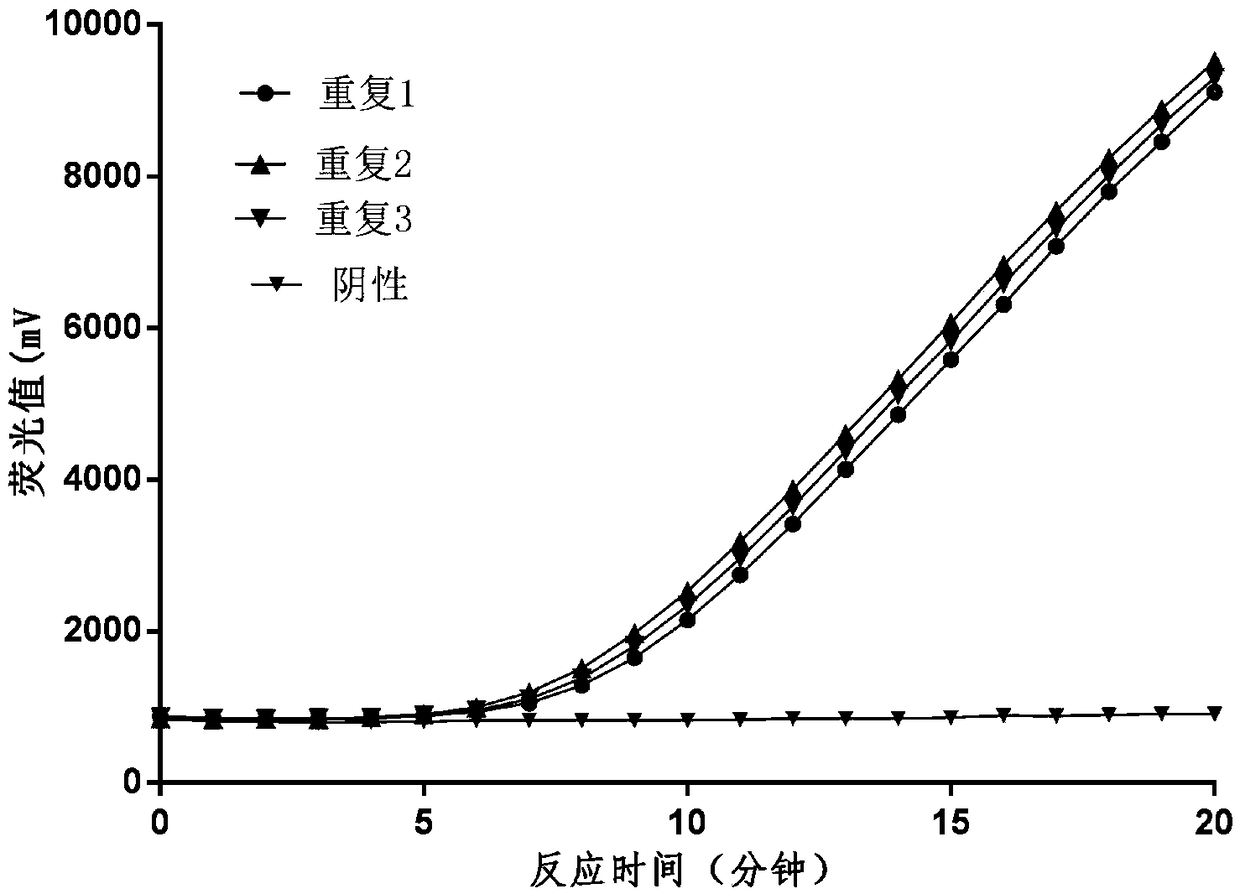 Primer probe group and reagent box for detecting rift valley fever virus with RAA (Recombinase Aided Amplification) fluorescence method