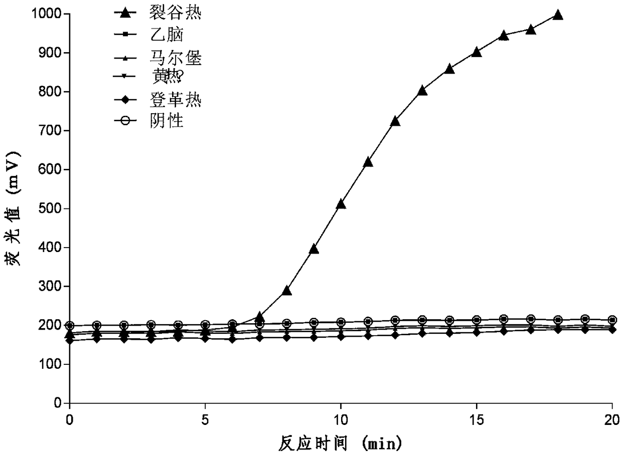 Primer probe group and reagent box for detecting rift valley fever virus with RAA (Recombinase Aided Amplification) fluorescence method