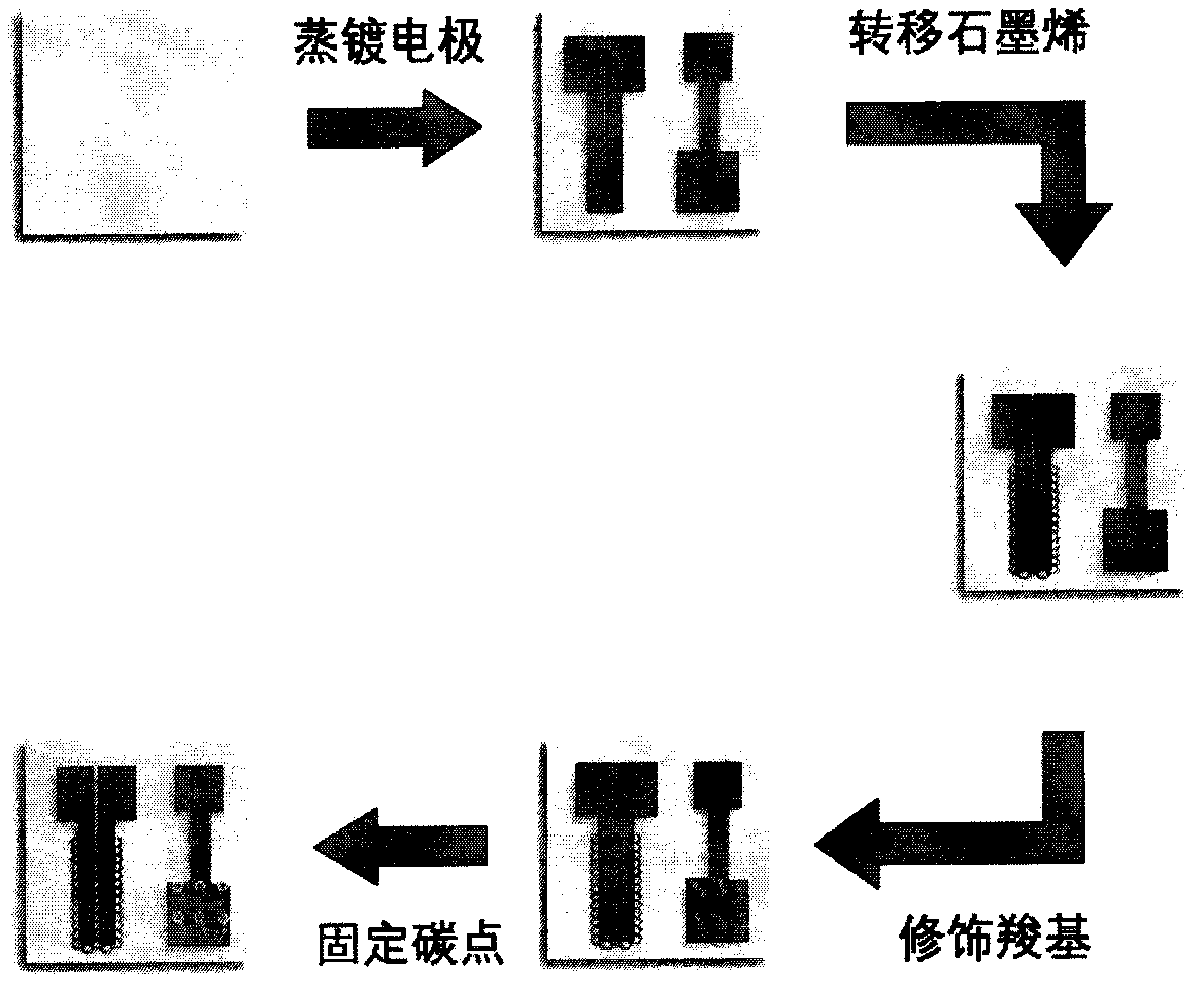 Graphene transistor label-free glucose sensor and preparation method thereof