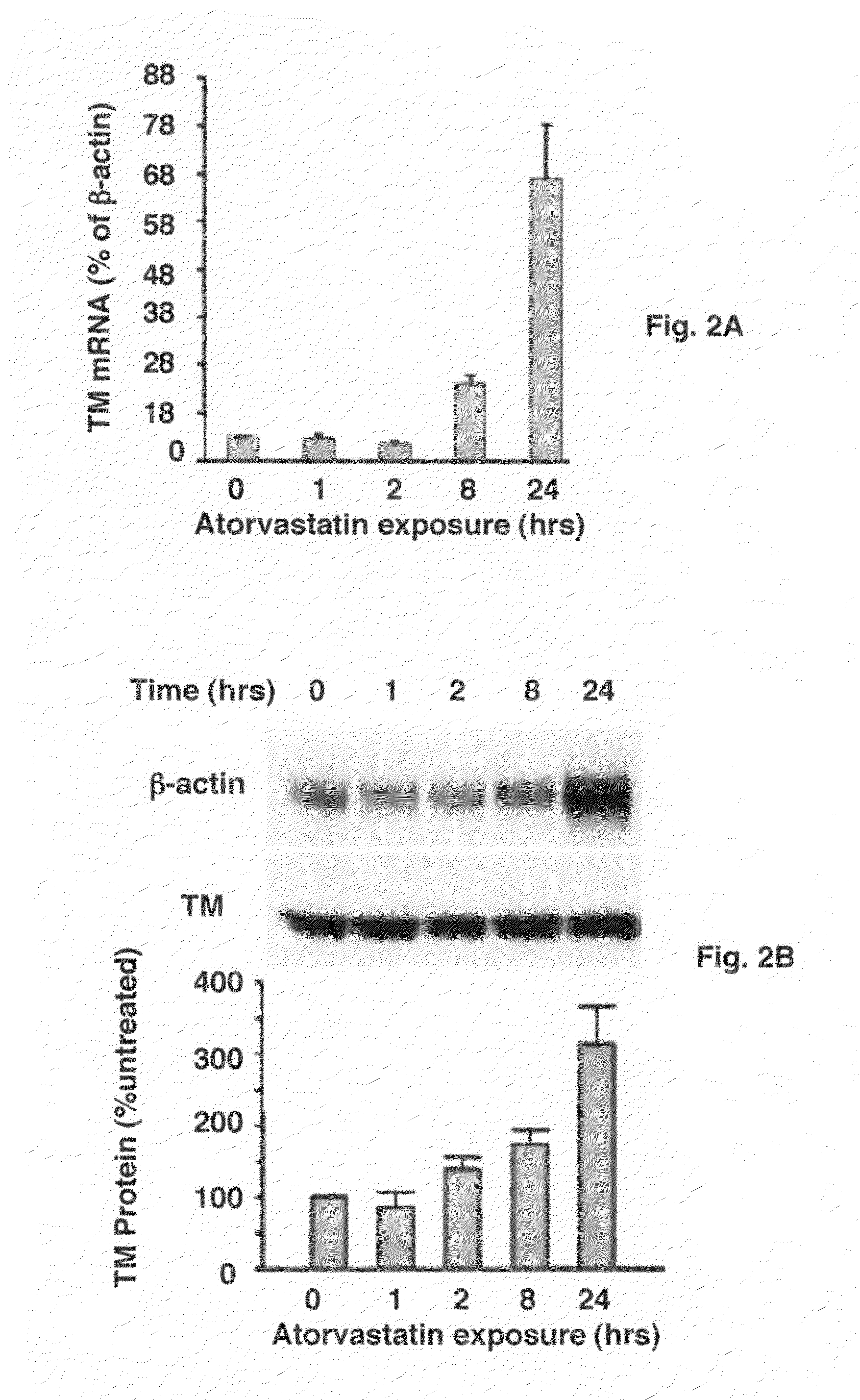 Use of statins in the prevention and treatment of radiation injury and other disorders associated with reduced endothelial thrombomodulin