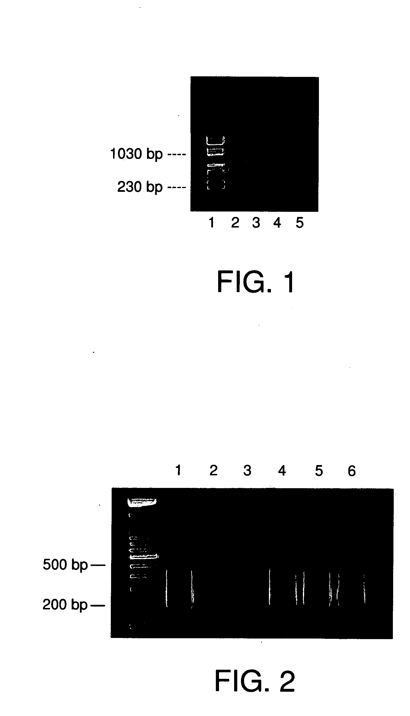 Methods of making repetitive sequences removed probes and uses thereof