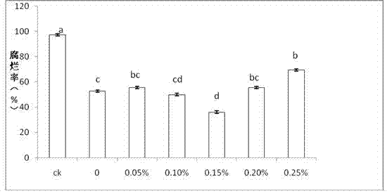 Method for improving biological prevention and control effect of rhodotorula mucilaginosa on fruit postharvest diseases