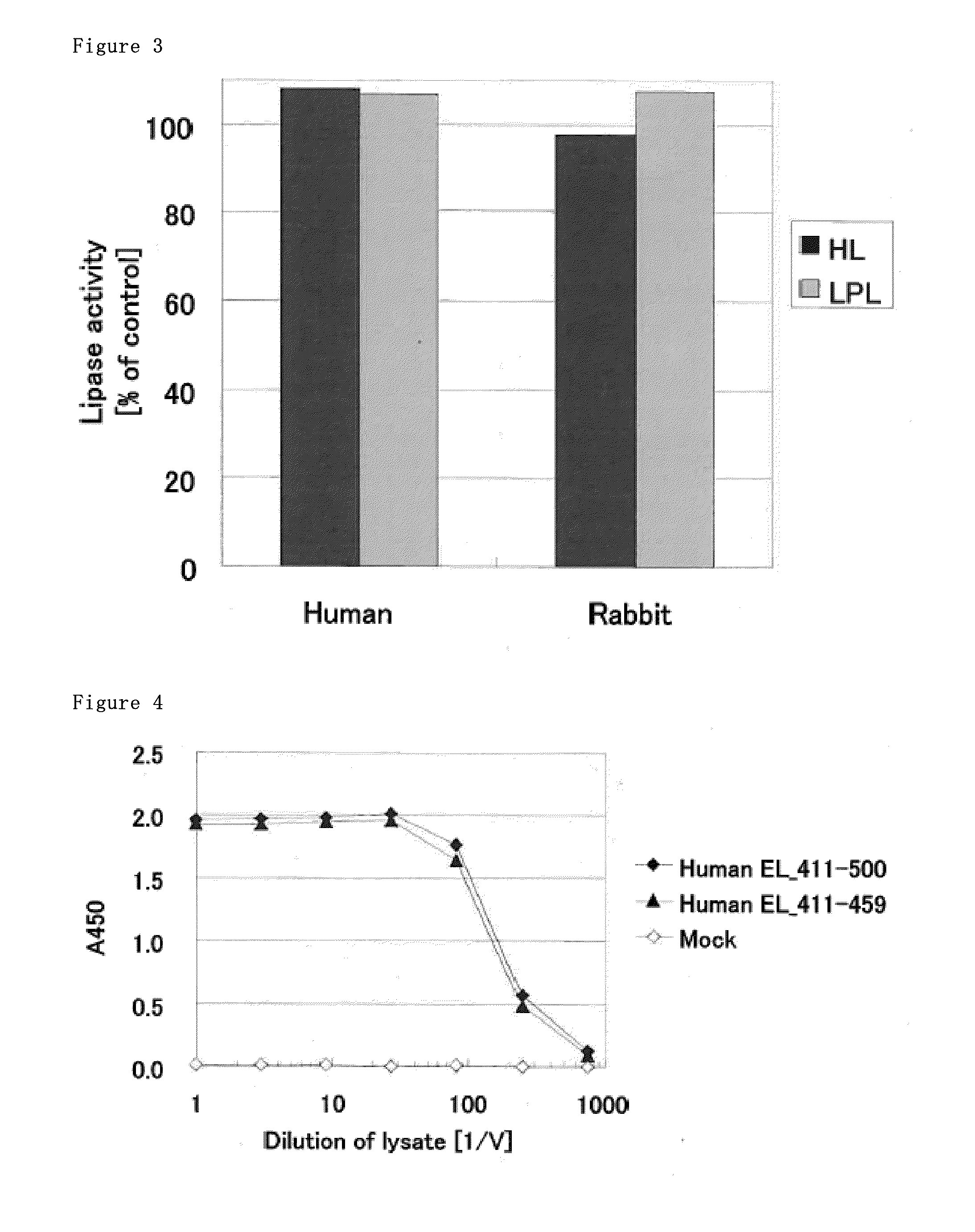 Monoclonal antibody against el which inhibits enzyme activity of el