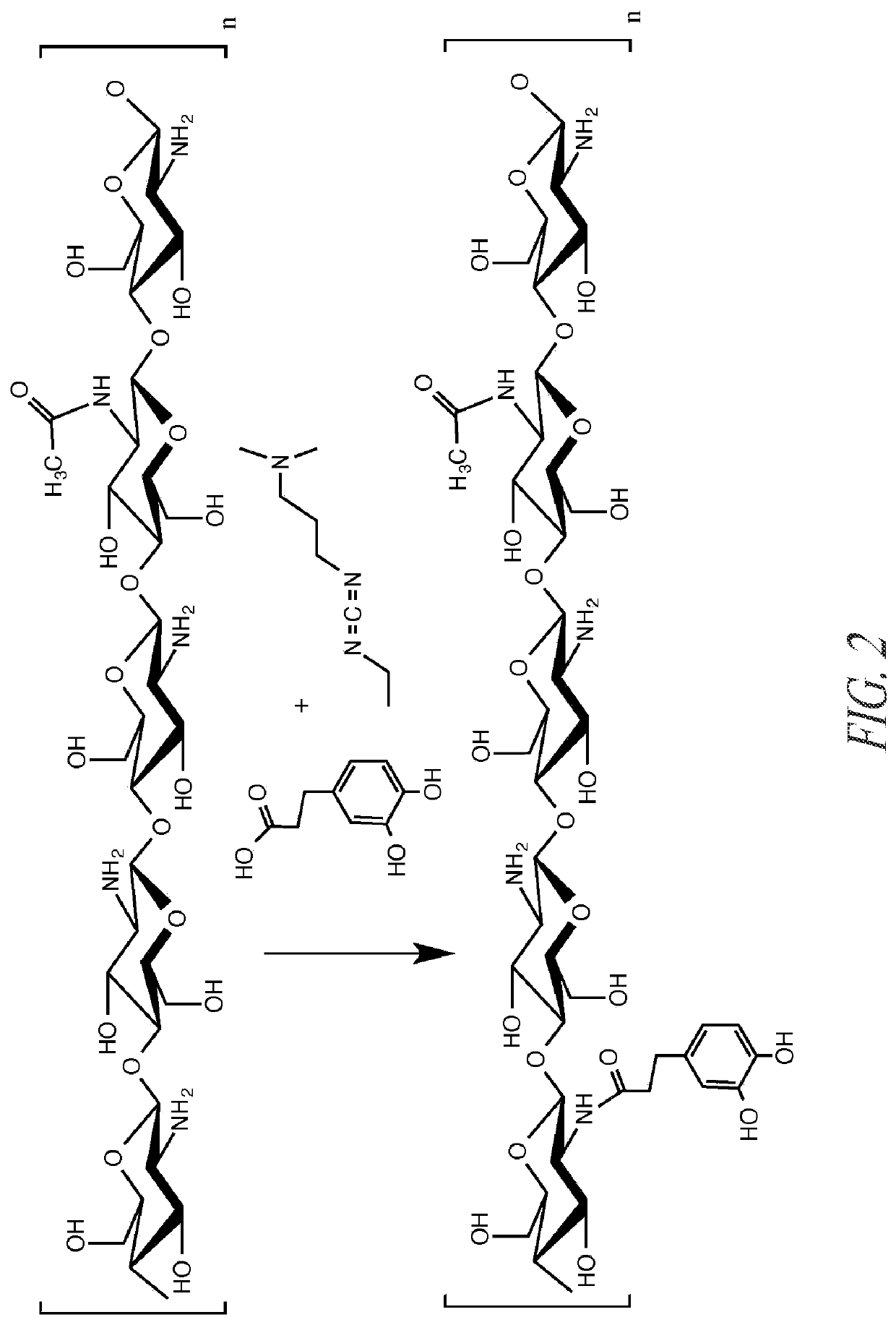 Chitosan dressing for control of gastrointestinal bleeding