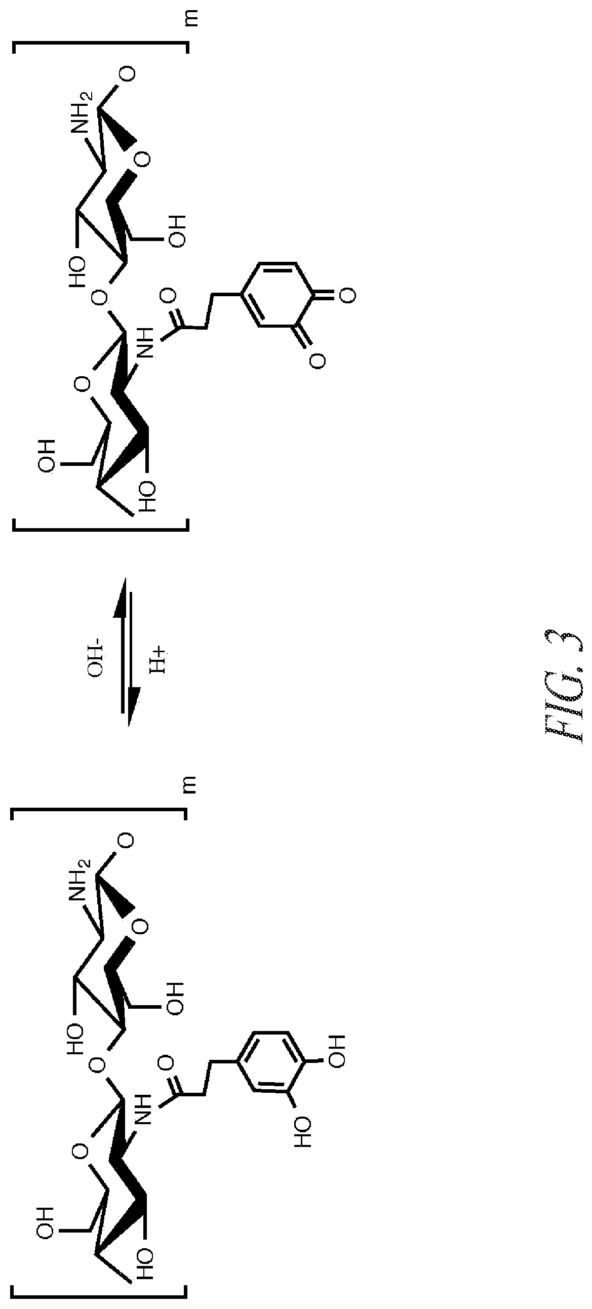 Chitosan dressing for control of gastrointestinal bleeding