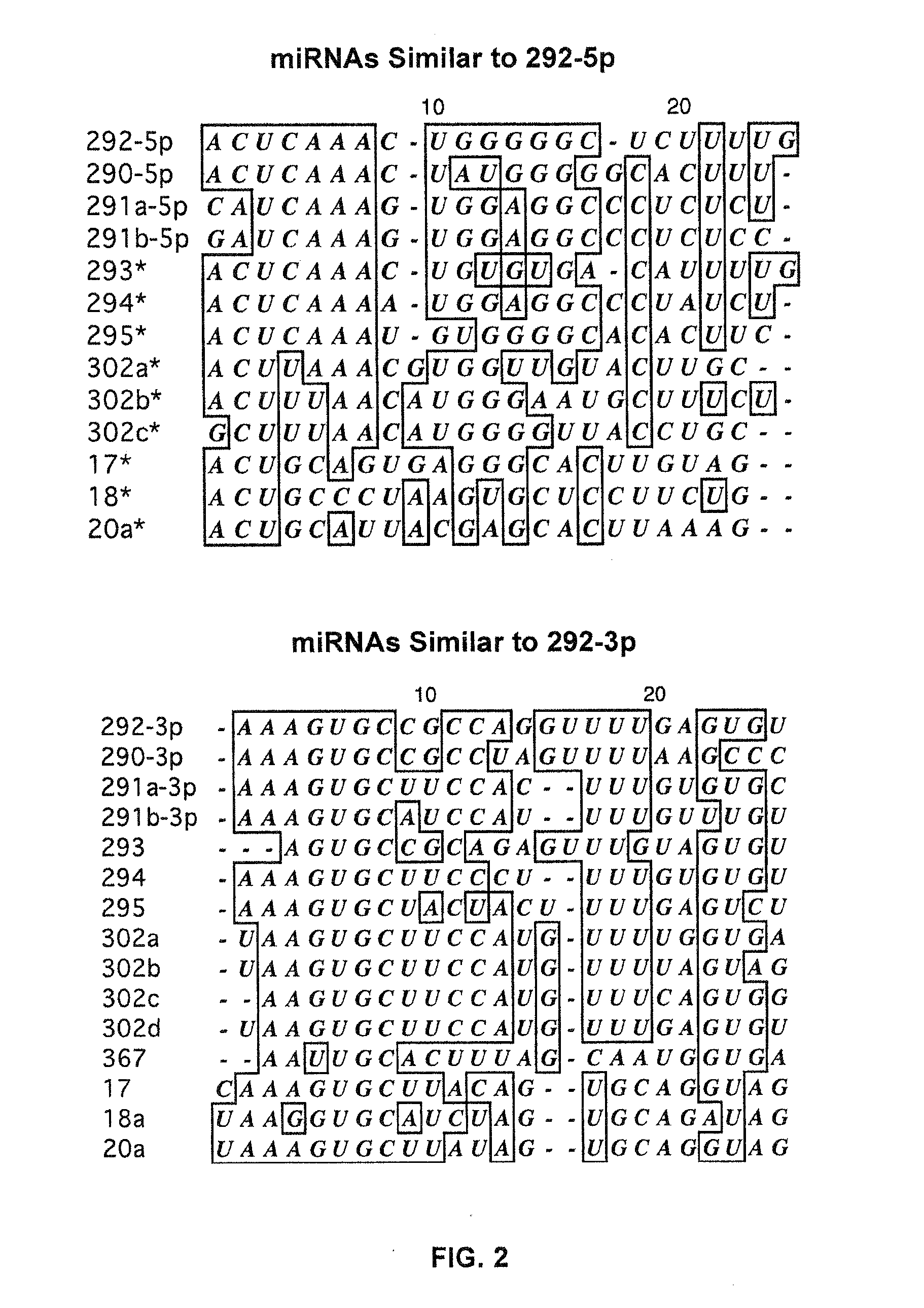 miRNA-Regulated Differentiation-Dependent Self-Deleting Cassette