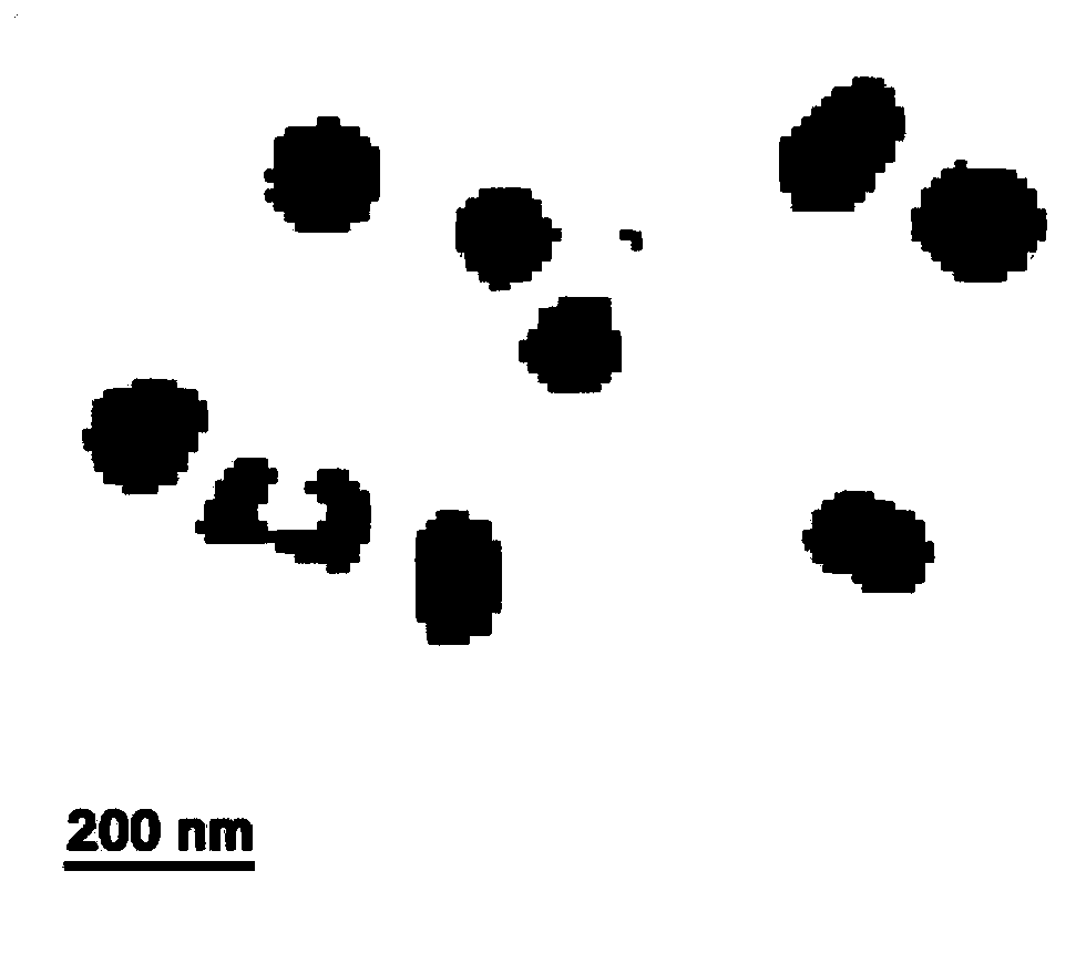 Preparation method and application of polypropylene oxide-sodium alginate hydrogel