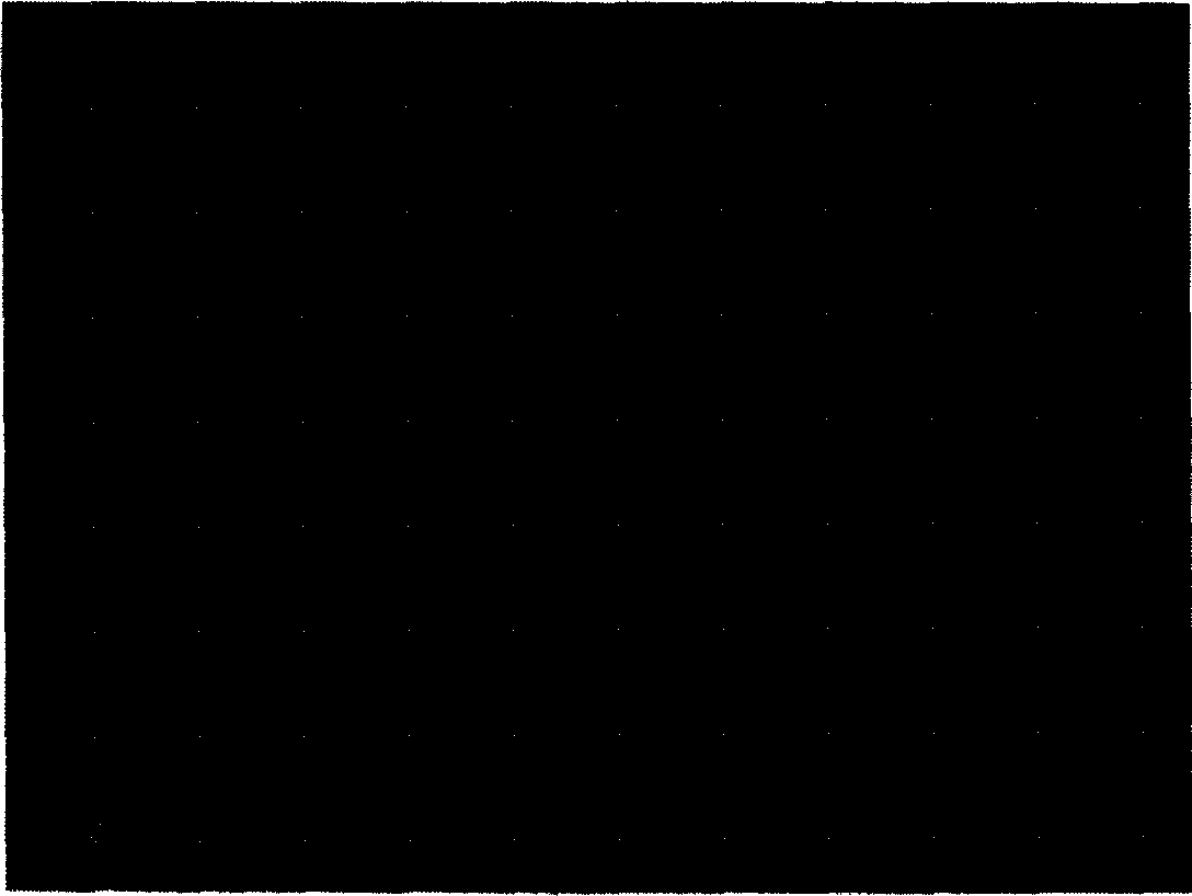 Negative electrode material for alkaline secondary zinc electrode