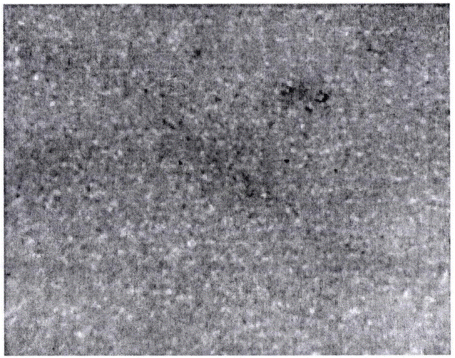 Skin tissue optical clearing solution, and preparation method and applications thereof