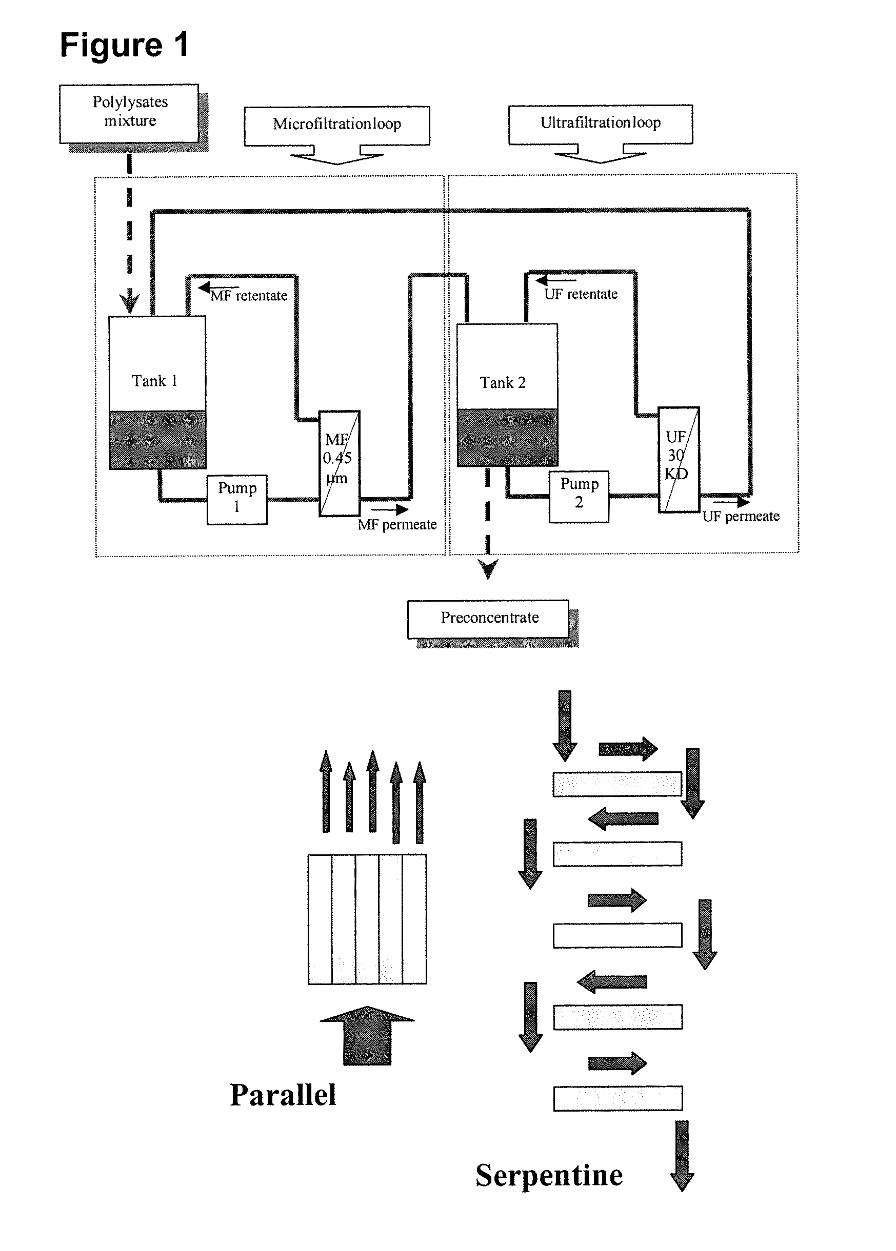 Bacterial extract for respiratory disorders and process for its preparation