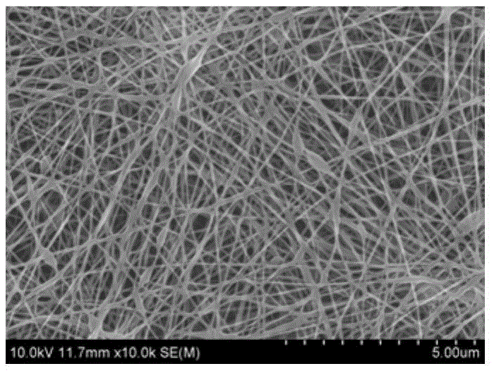 Nano-fiber for adsorbing heavy metal ions and preparation method thereof