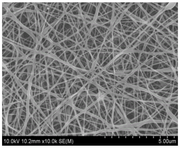 Nano-fiber for adsorbing heavy metal ions and preparation method thereof