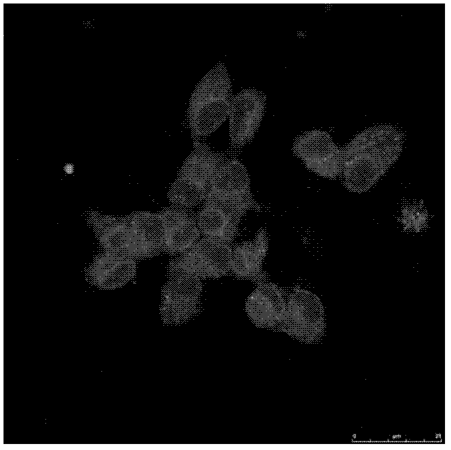 Method for inducing retinal stem cells to differentiate into photosensory cells