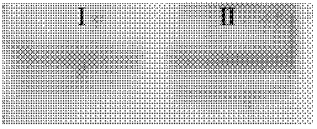 Method for inducing retinal stem cells to differentiate into photosensory cells