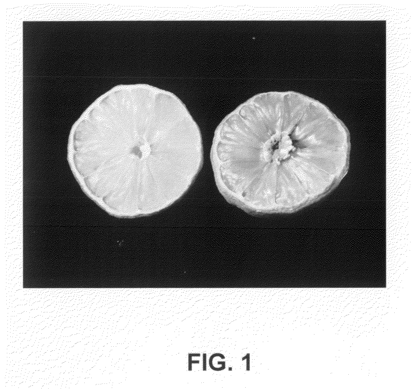 Photocatalytic titanium dioxide nanocrystals