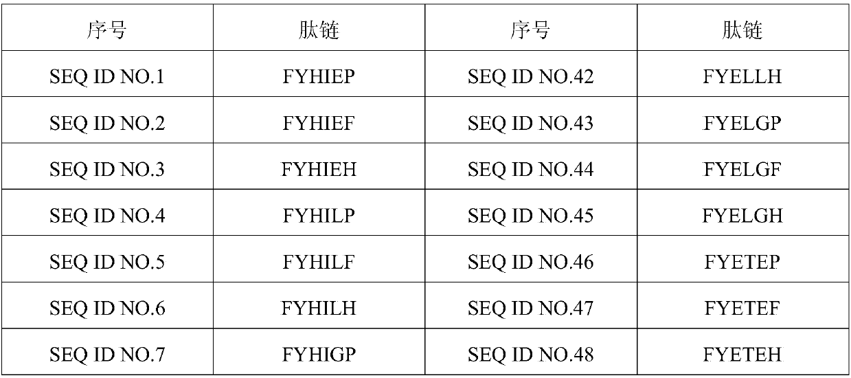 Affiliative small molecular peptide of IgG (Immunoglobulin G) antibody and application thereof