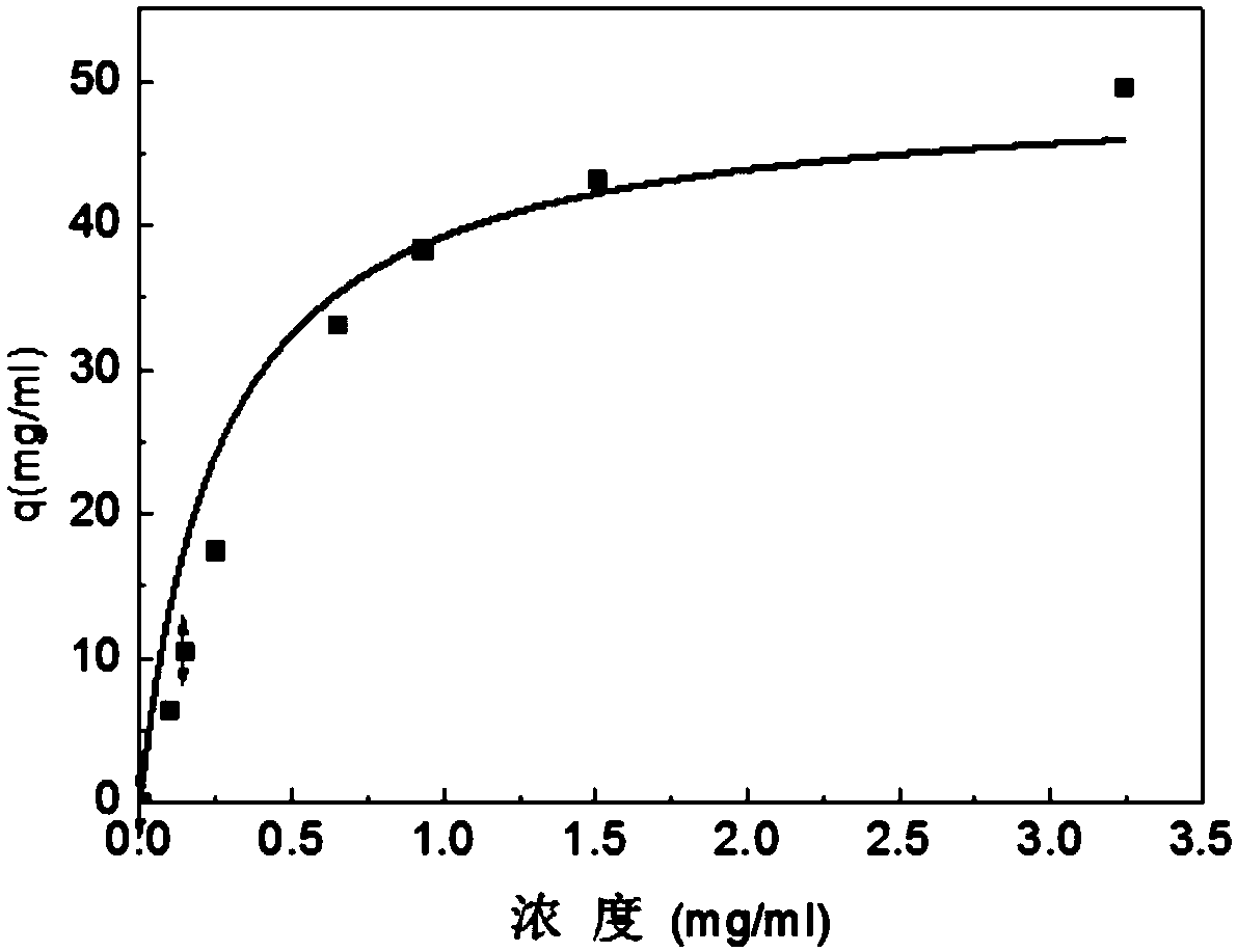 Affiliative small molecular peptide of IgG (Immunoglobulin G) antibody and application thereof