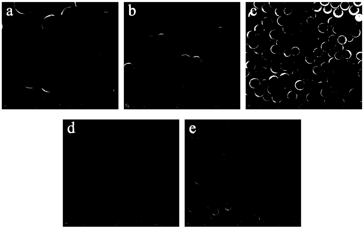 Heteroatom doped polymer nano-microsphere and preparation method thereof