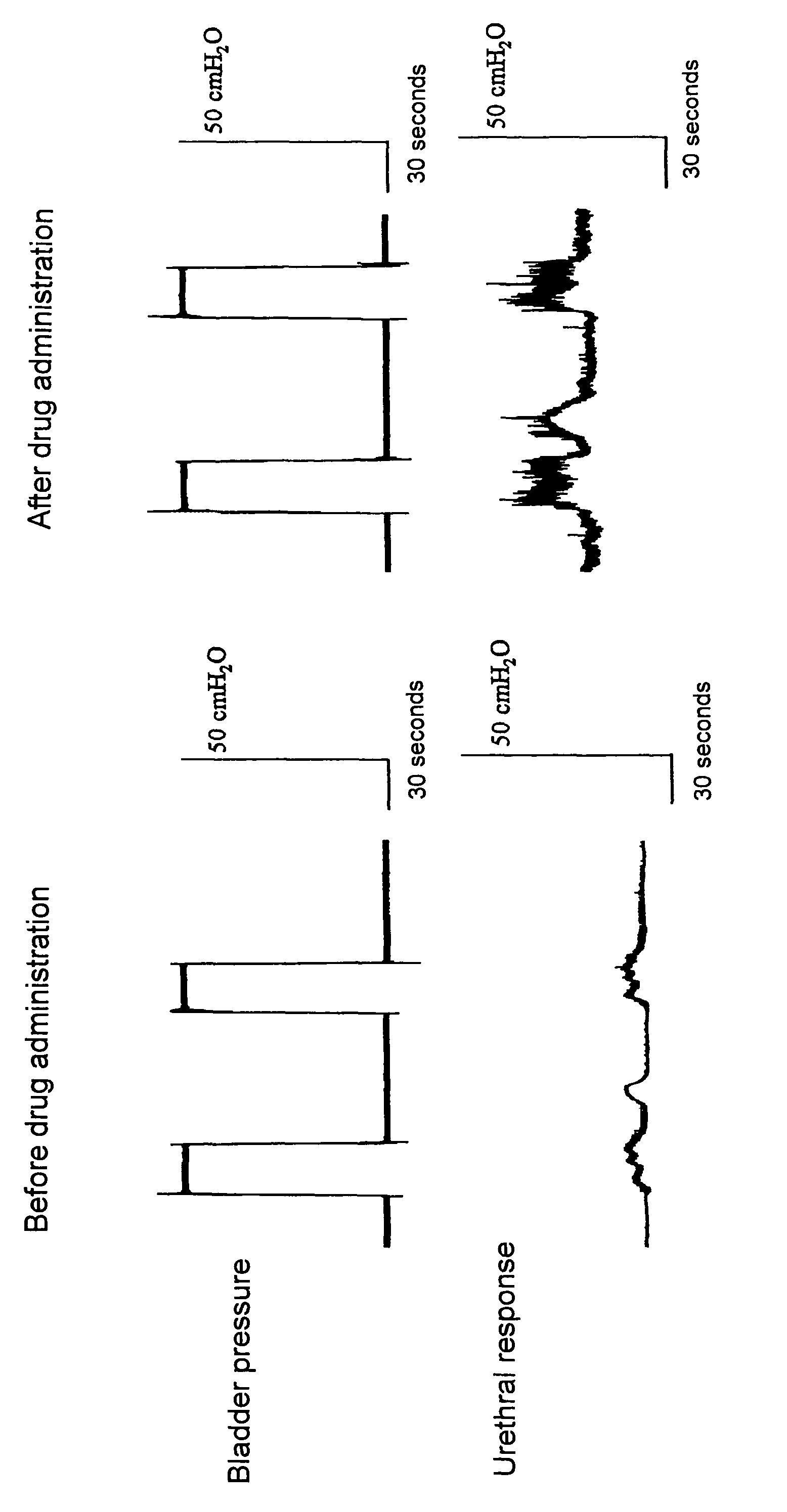 Benzoxazepine derivatives and use thereof