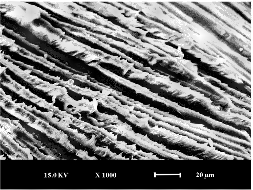 One-way continuous carbon fiber reinforced polyether-ether-ketone composite material and preparation method thereof