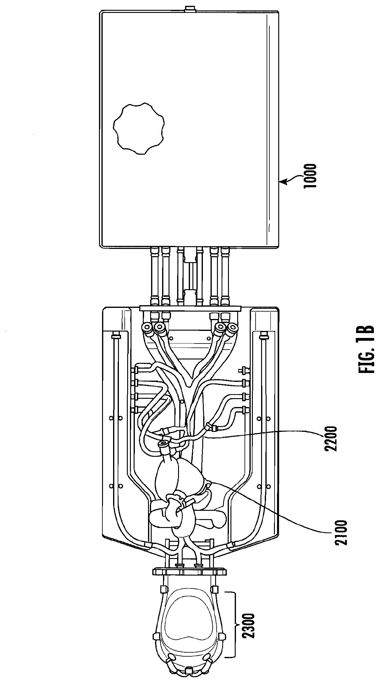 Cardiac simulation device