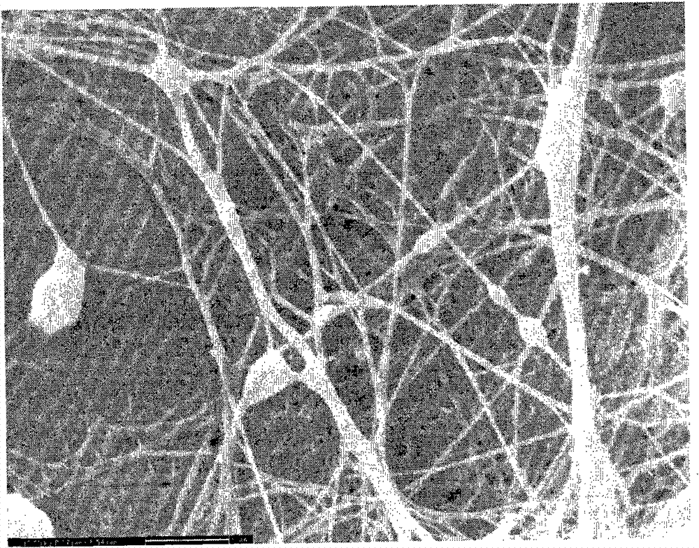 Method for preparing flamazine/bacterial cellulose composite wound dressing