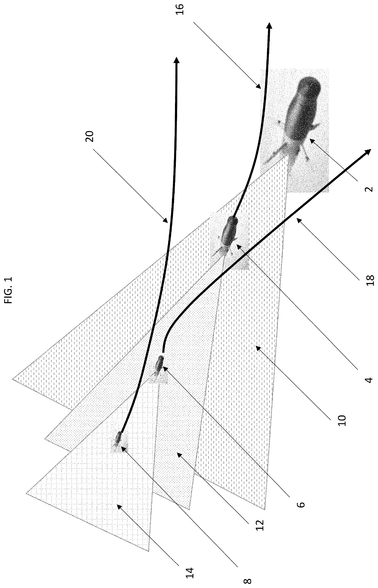 Swarm navigation using follow the forward approach