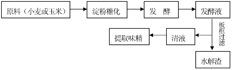 Special biological organic fertilizer for verticillium wilt and production method for same