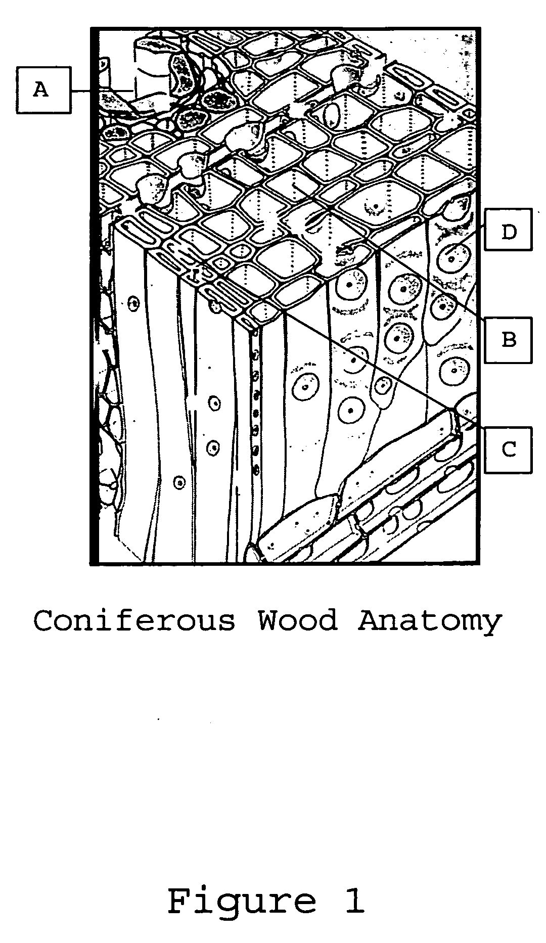 Compositions and methods for treating cellulose-based materials with micronized additives