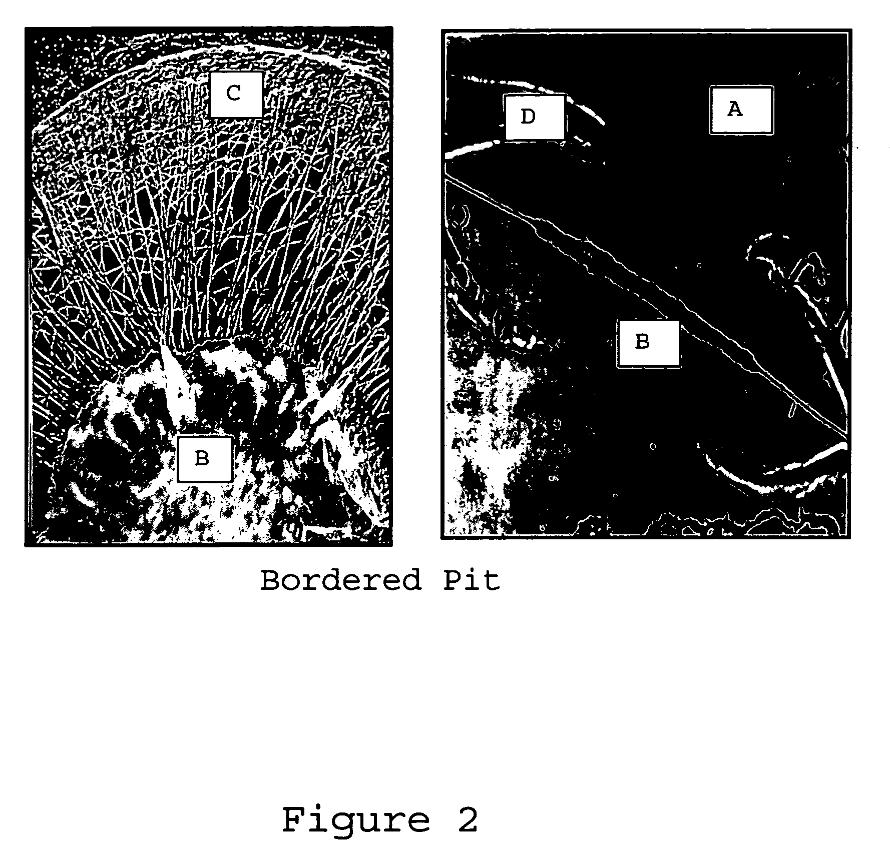 Compositions and methods for treating cellulose-based materials with micronized additives